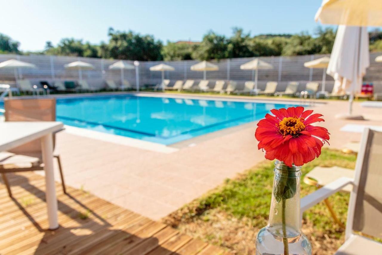 Charming And Comfy House Apartment Agia Marina  Exterior photo